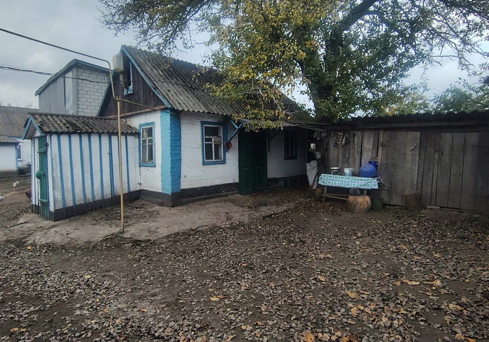 Дом, Козин (Мироновка): сад и летняя кухня, участок 50 соток, фото 4