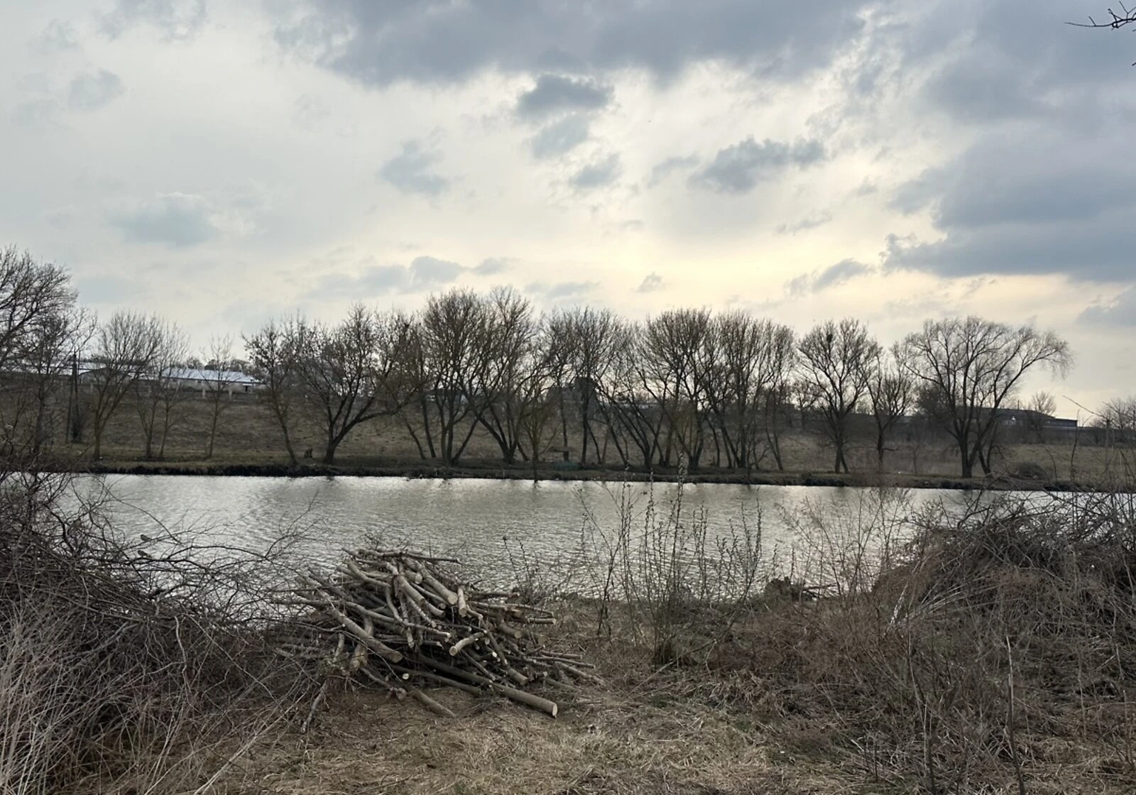 Ділянка 23.27 соток, Романове село: під житлову забудову, чорнозем - фото 5