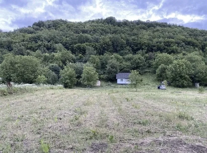 Дом, Рухотин: берег Днестра, 50 соток, электричество и интернет - фото 1