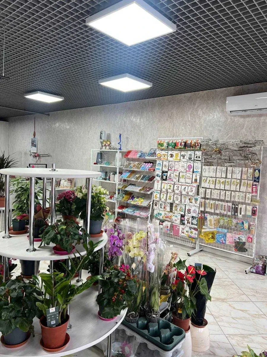 Фасадна будівля, Заболотів: 59 м² комерції, 102 м² житла - фото 5