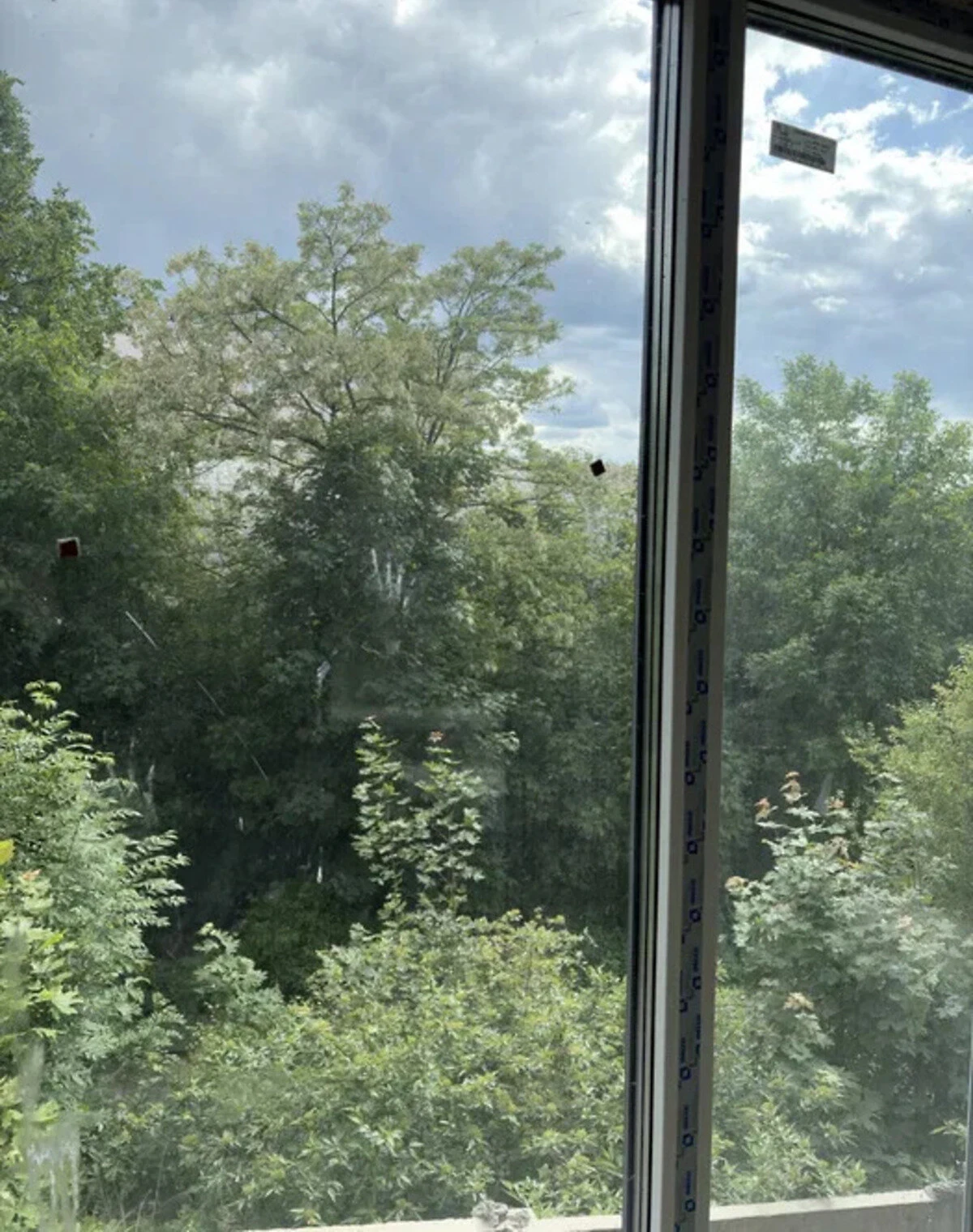 1-кімнатна квартира, Сихів: суміжний санвузол, кухня 19 м² - фото 3