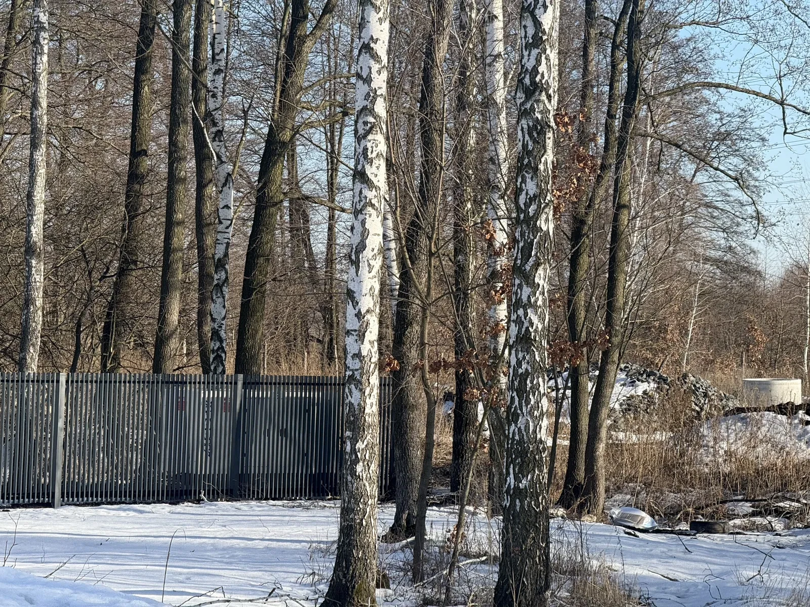 Ділянка 6 соток, Ірпінь: під дуплекс чи таунхаус, квадратна форма - фото 2