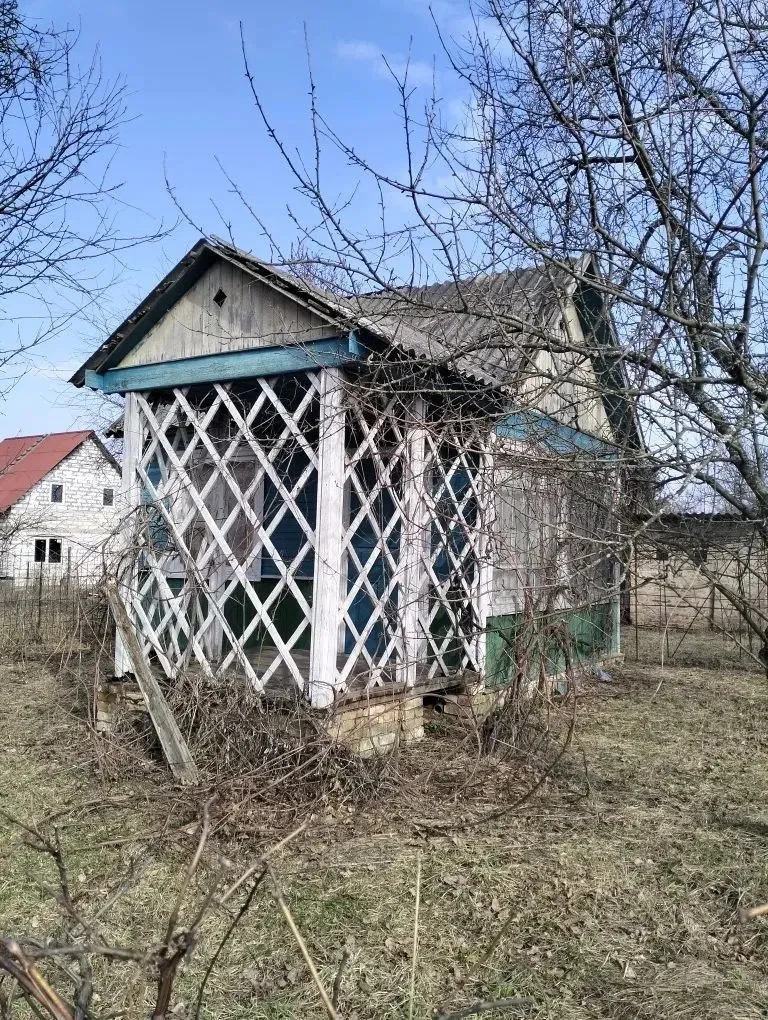 Дача, Чернігів: приватизована ділянка, світло і вода - фото 1