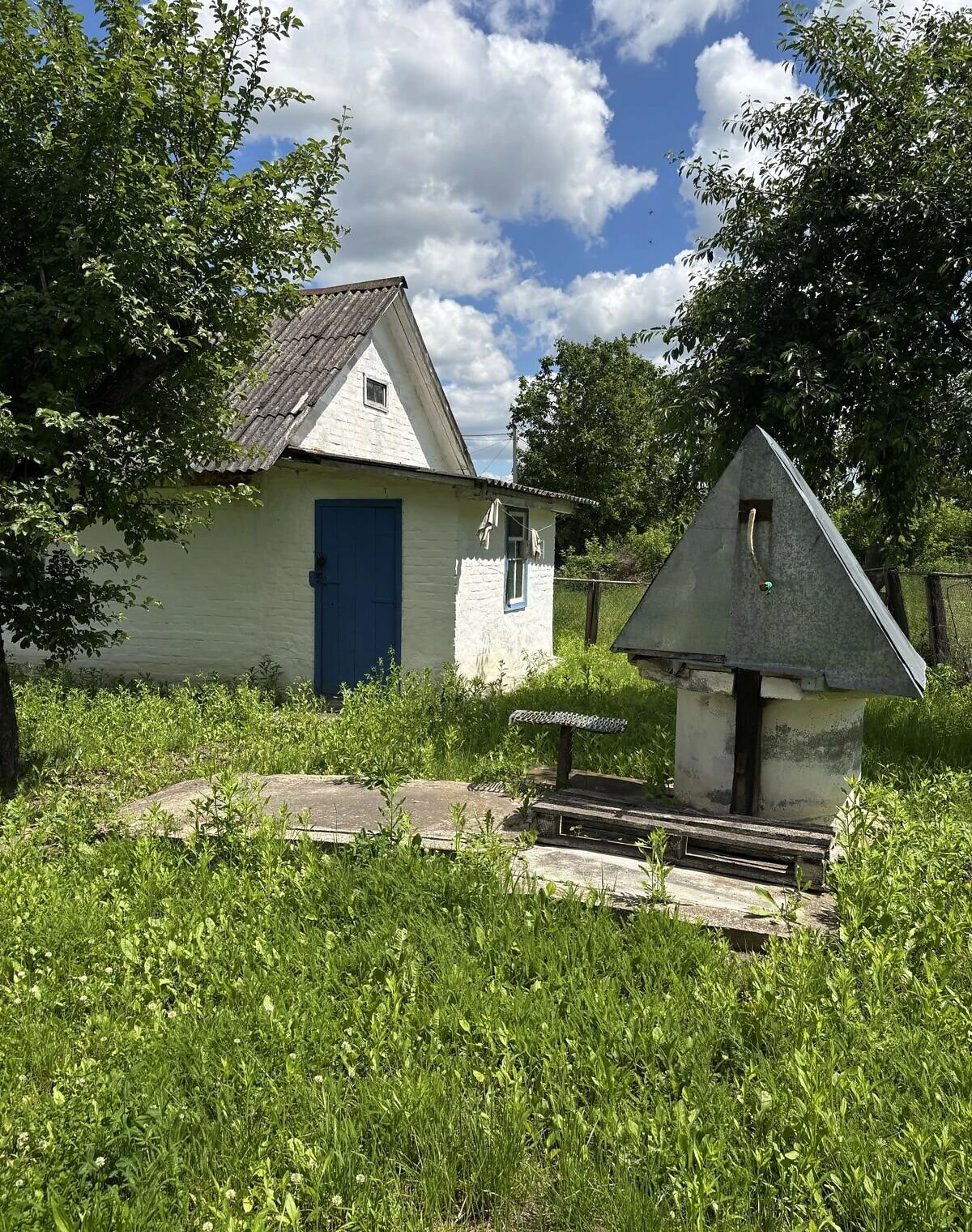 Дача, Топори: літня кухня, централізоване опалення, фото 3