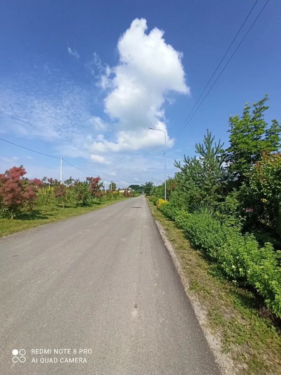 Ділянка 89 соток, Проців: під забудову, сосновий ліс 200 м - фото 3