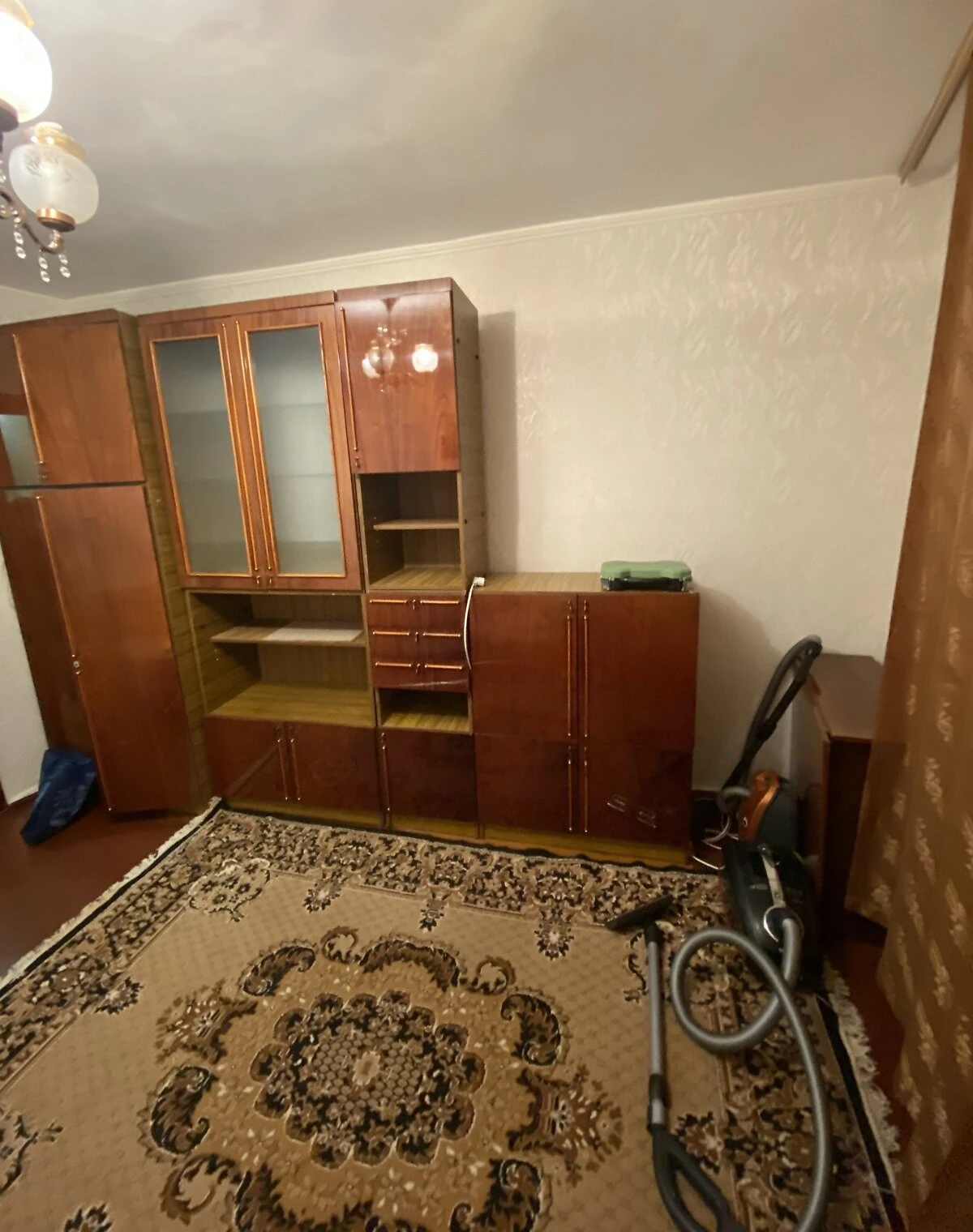 1-кімнатна квартира, Зарічний: газ і вода без світла, можливий торг - фото 2