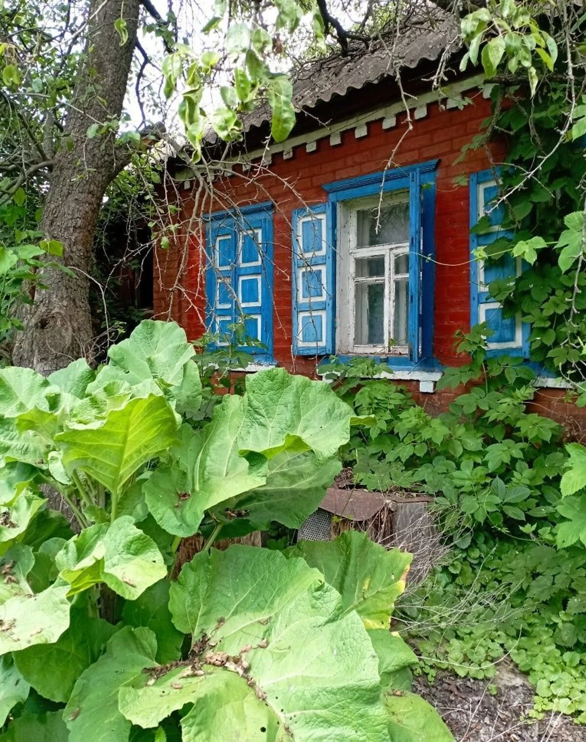 Дом, Старая Гнилица: участок 25 соток, кирпичные стены - фото 2