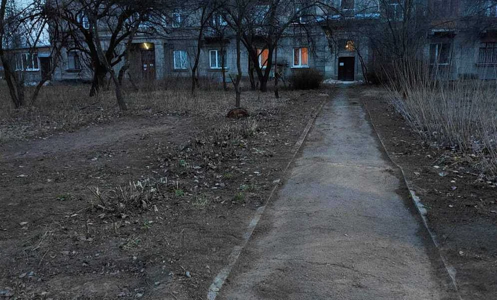 3-кімнатна квартира, Бровари: сталінка, гараж і ділянка, фото 4