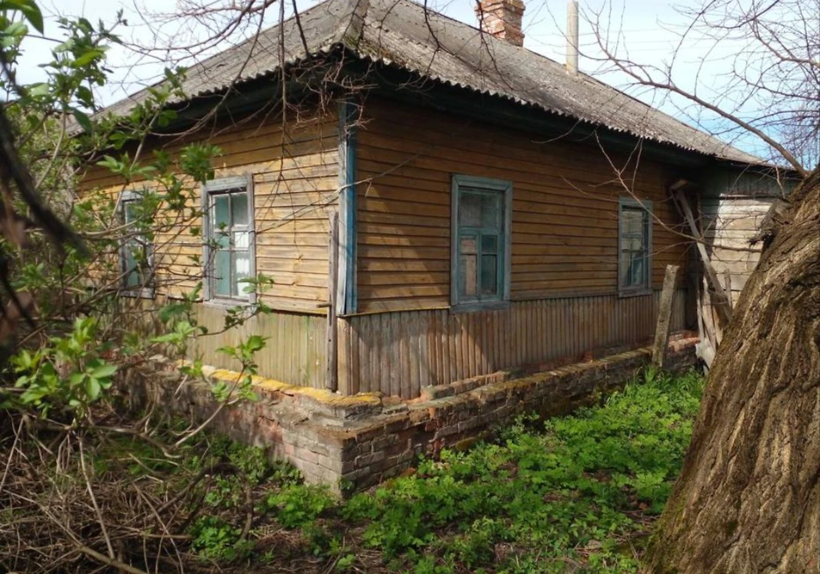 Будинок, Черниш: опалення, 24 сотки, господарські будівлі - фото 3