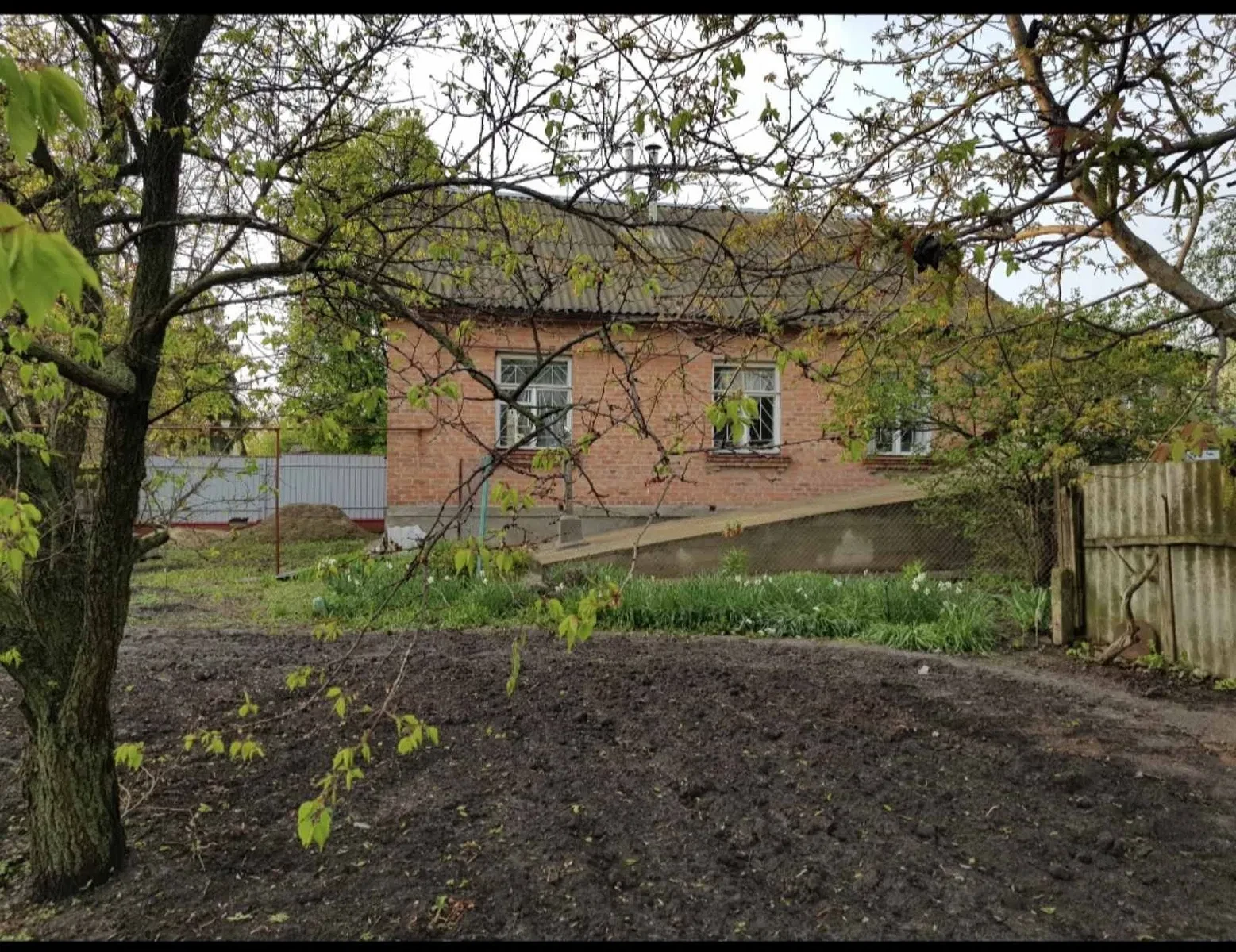 Будинок, Путивль: 27 соток, сарай 60 м², газове опалення - фото 4