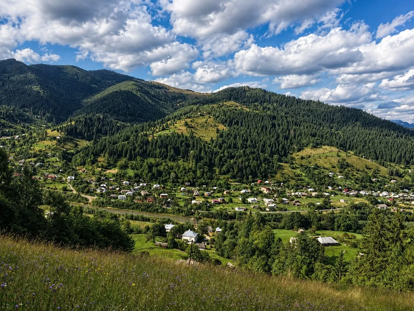 Дача, Криворівня: біля лісу, Довбушові комори, можна з тваринами - фото 4