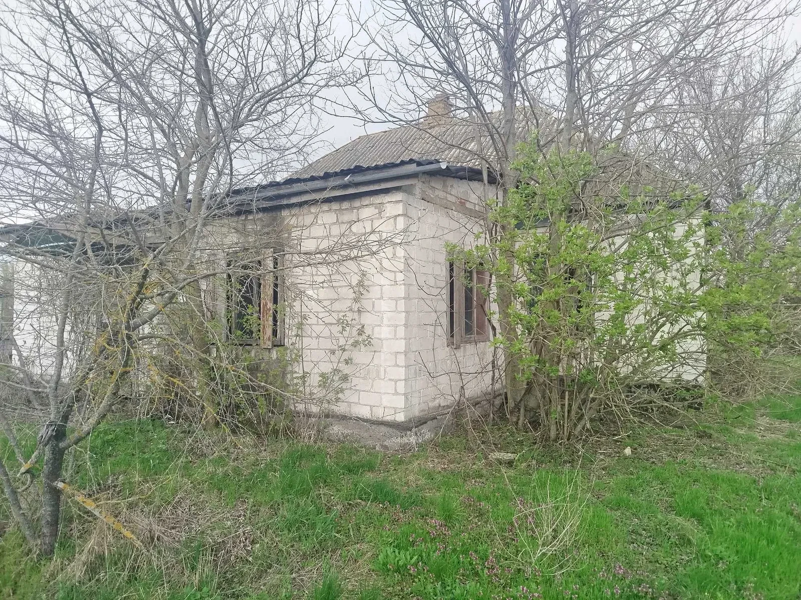 Дача, Драбів: річка поруч, 65 соток, приватизована земля - фото 4