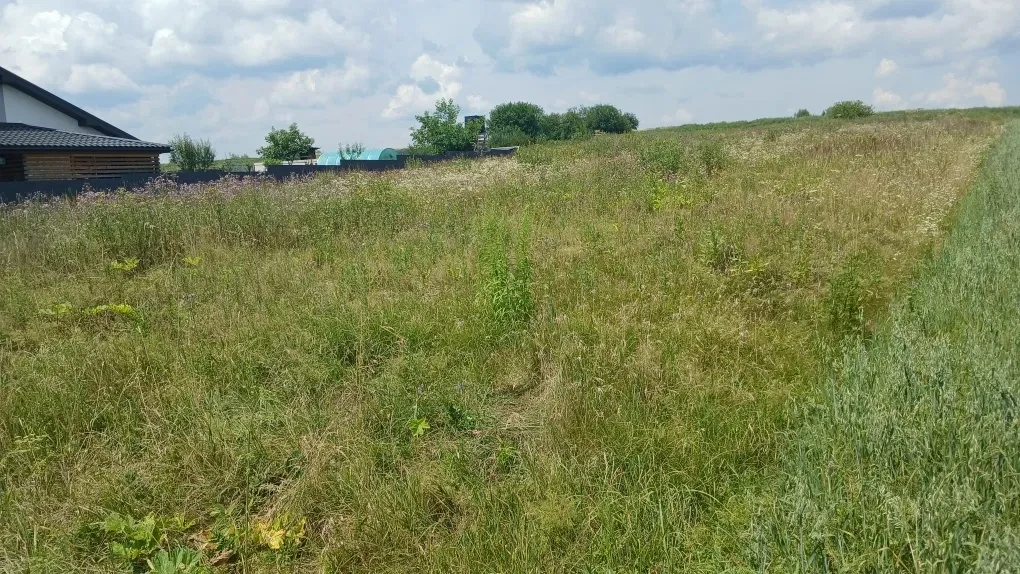 Ділянка 29 соток, Підлісся: під с/г, обмін на авто - фото 4