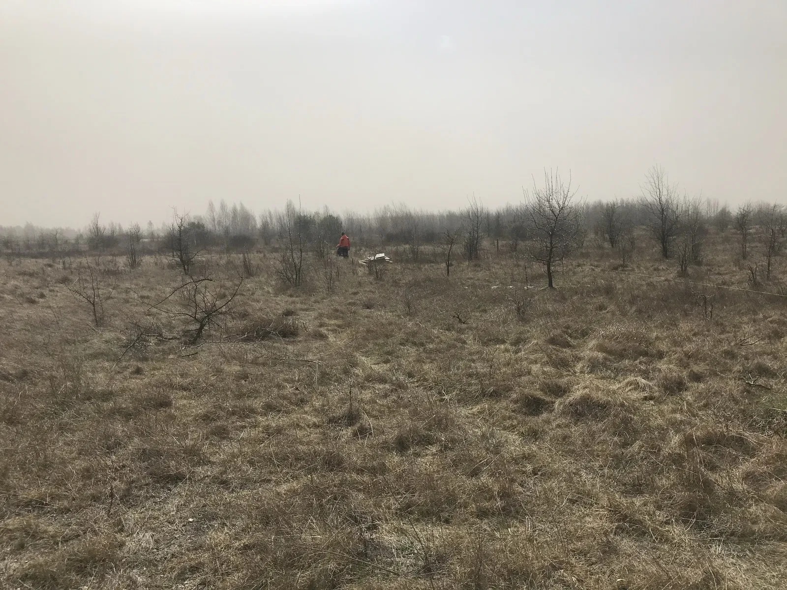 Дві ділянки по 10 соток, Абрамівка: поруч ліс і річка - фото 4