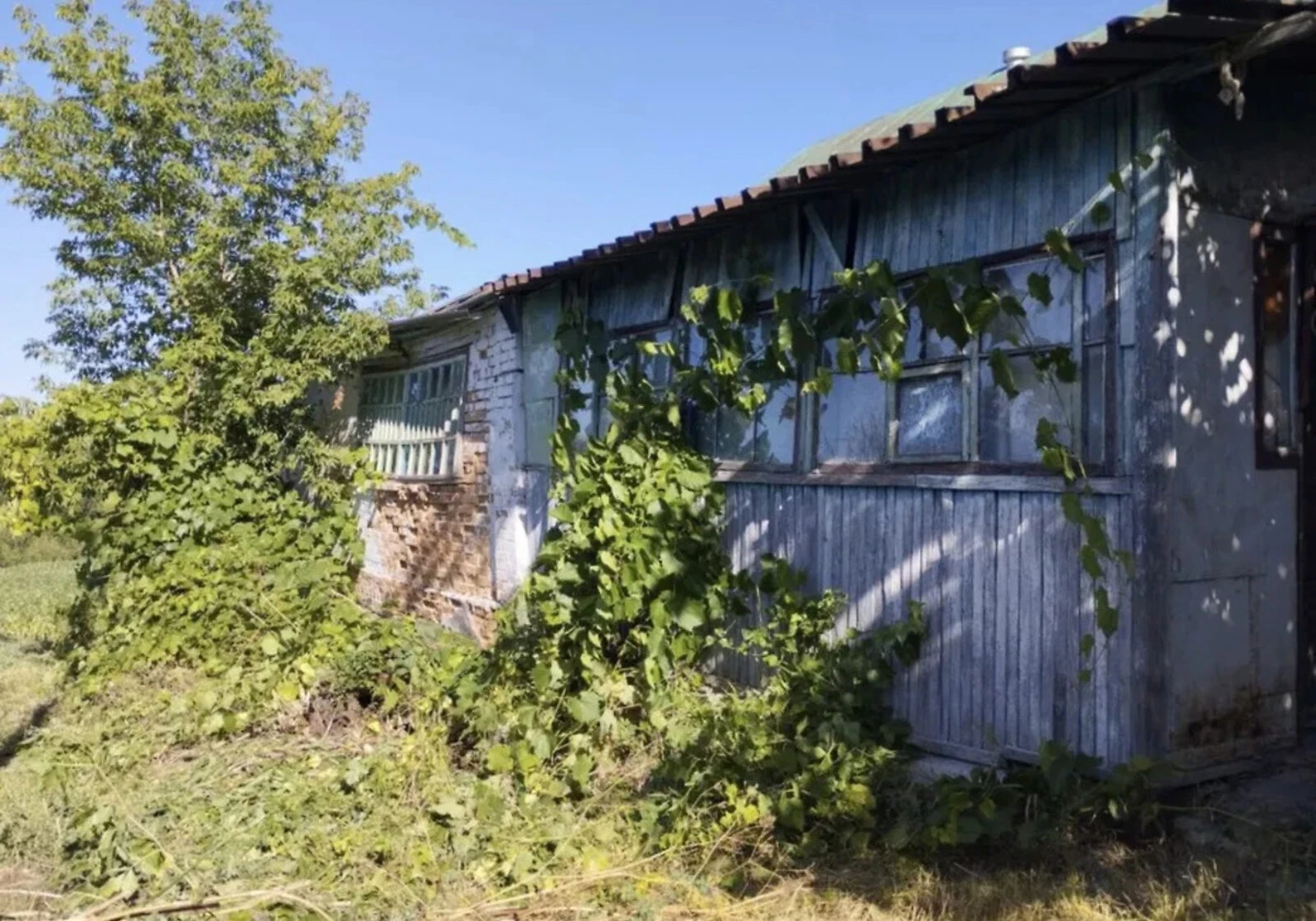 Будинок, Старі Бабани: 18.38 сотки, веранда, торг - фото 2