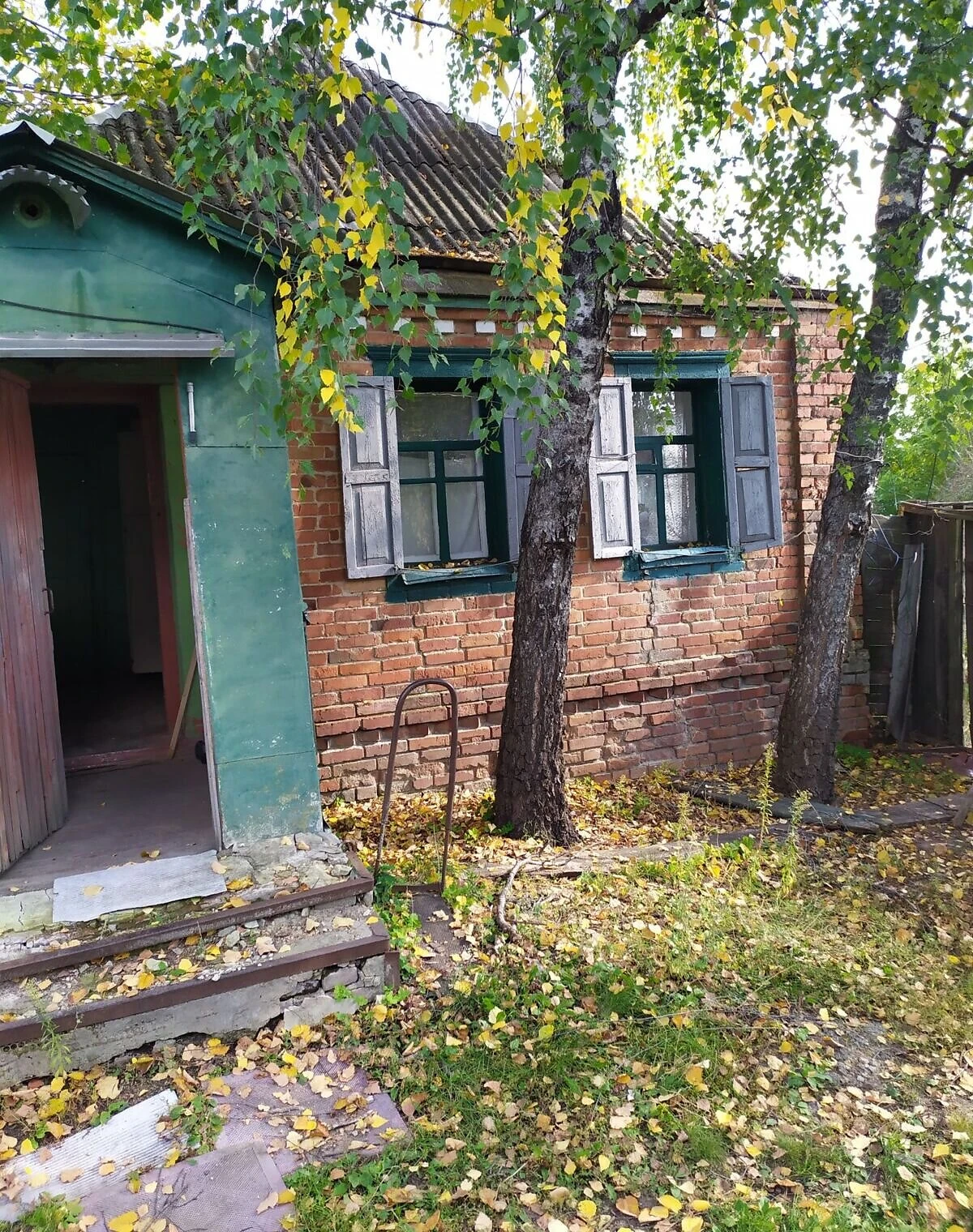 Дом, Сковородиновка: отопление, гараж с подвалом