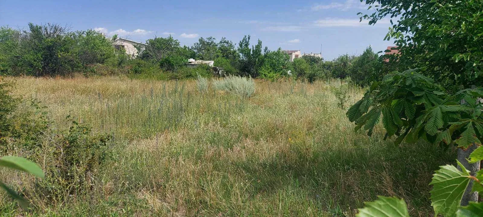 Ділянка 12 соток, Кордон: світло й вода, біля Тилігульського лиману