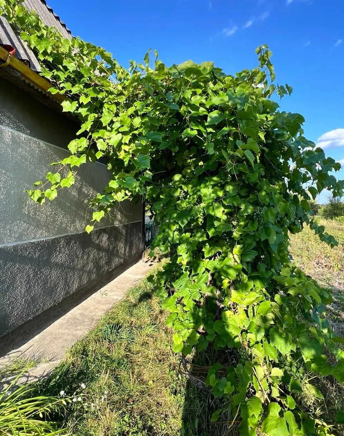 Дача, хутір Ліски: гараж 34 м², централізоване опалення, фото 5