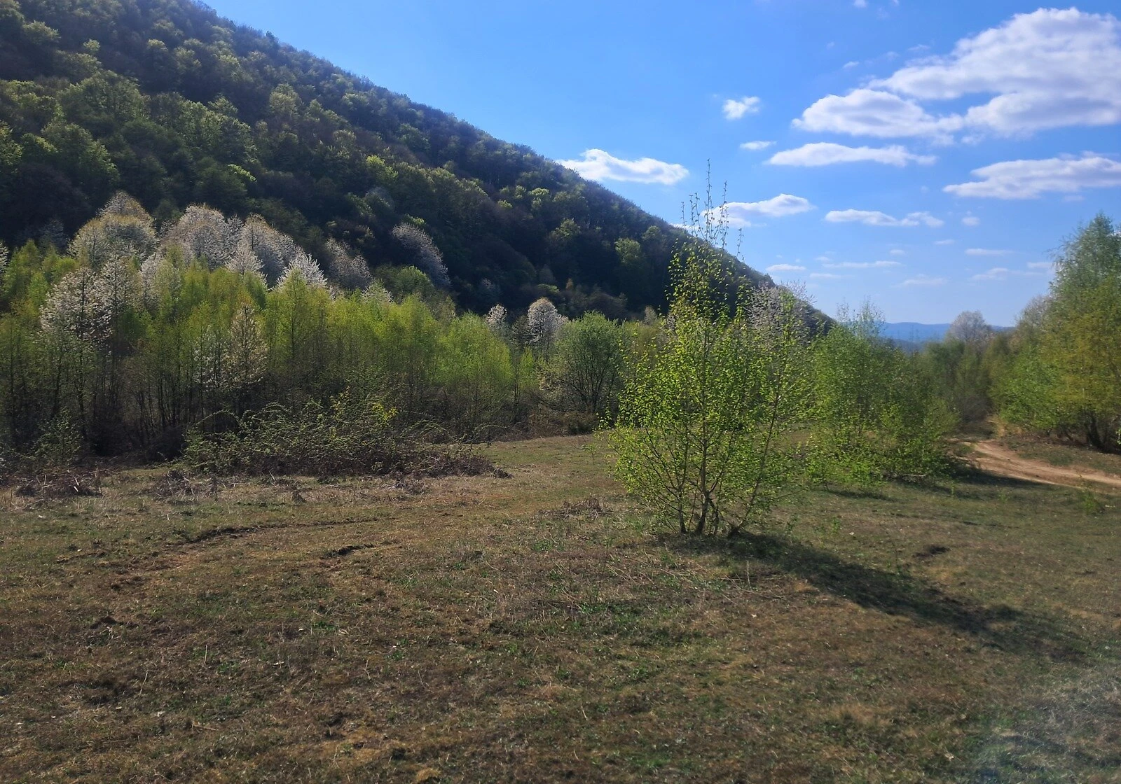 Ділянка 200 соток, Луково: гірський рельєф, криниця - фото 2
