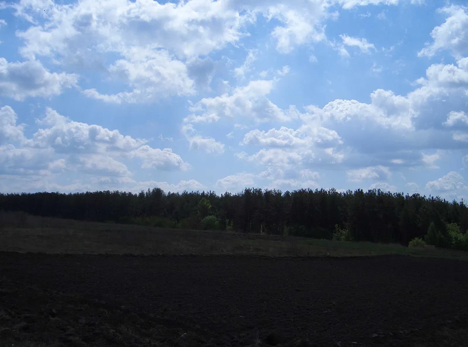 Ділянка 0.06 соток, Васильків: Піски, світло 380 V, асфальт 100 м - фото 2