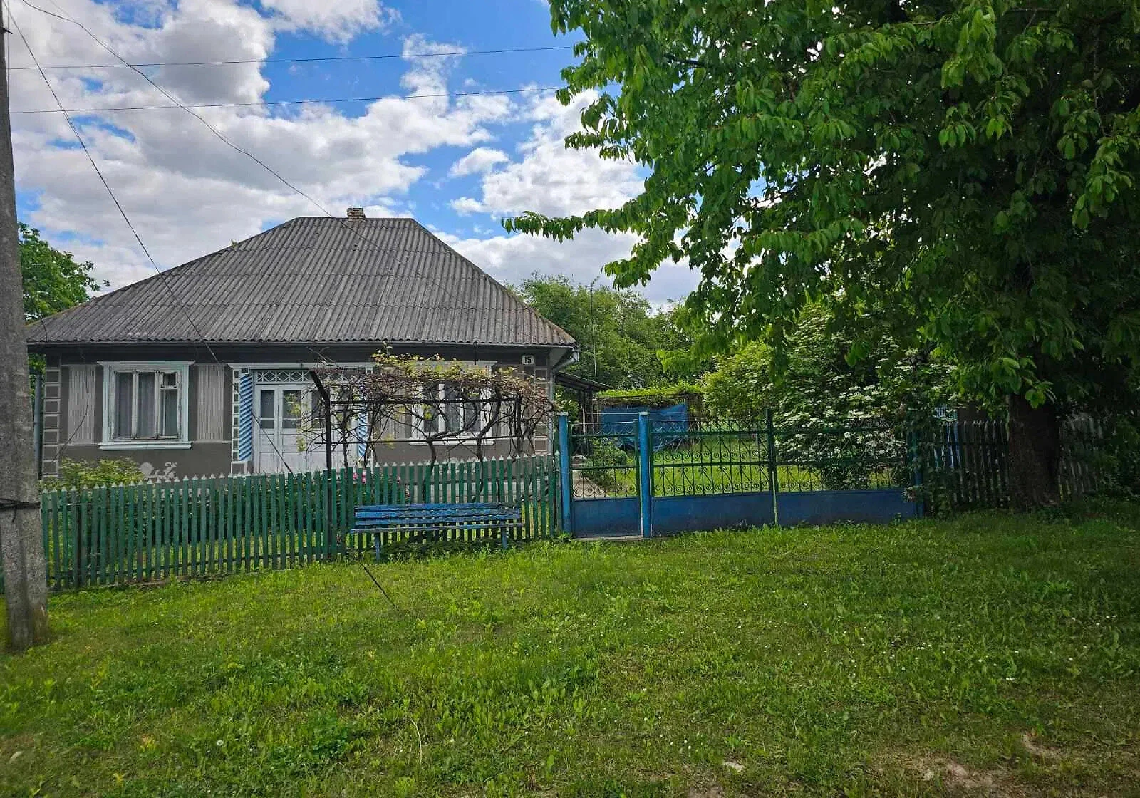 Дача, Пригородок: ділянка 50 соток, літня кухня, сад, фото 5