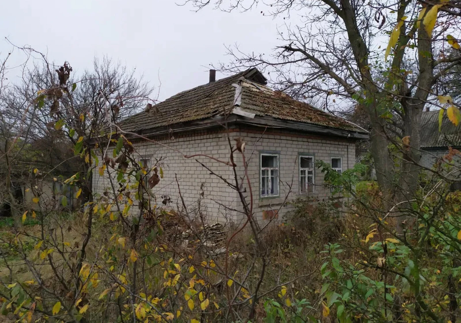 Дача, Белецковка: участок 17 соток, кирпичные стены - фото 2