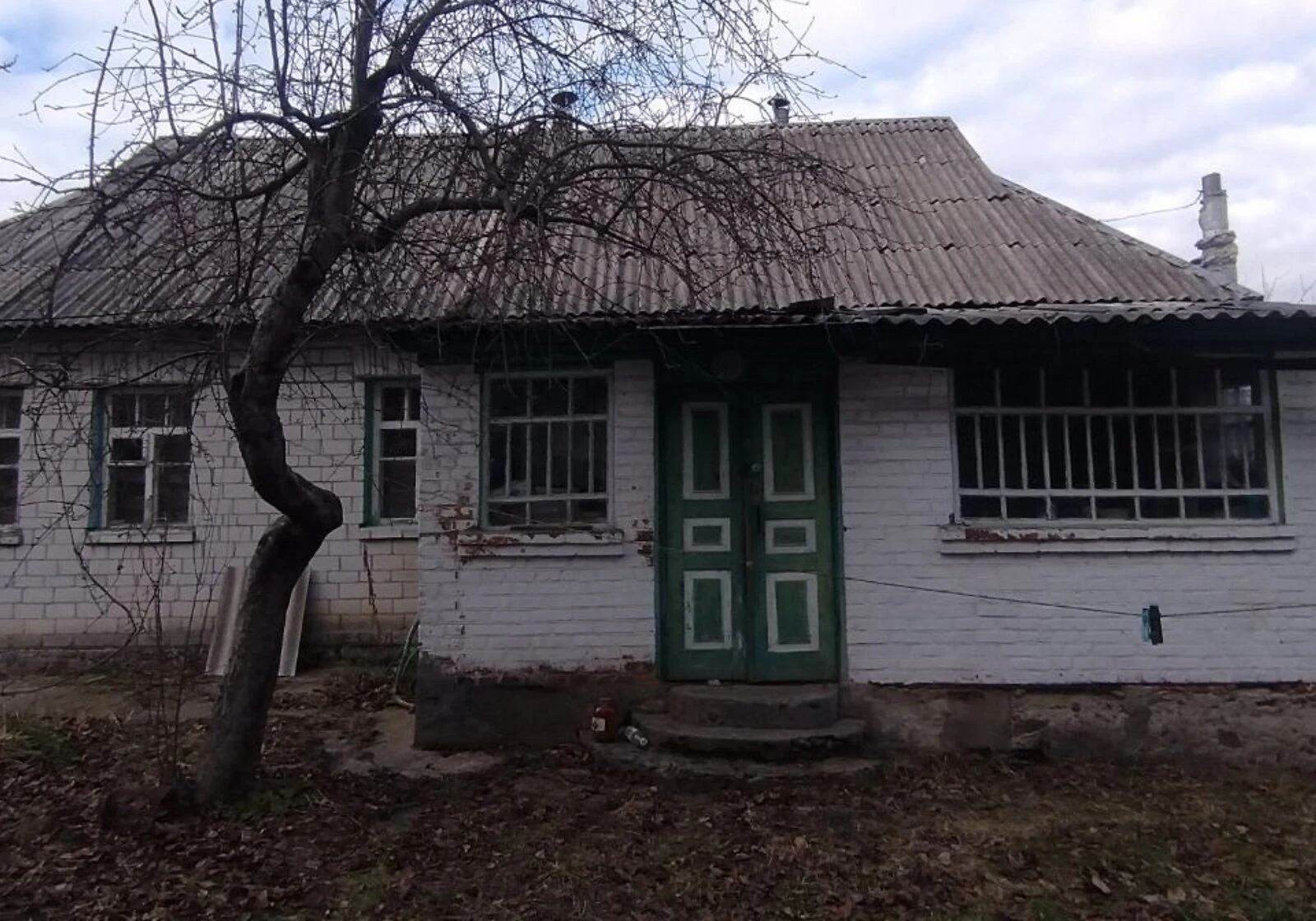 Дом, Козичанка: 45 соток, гараж во дворе