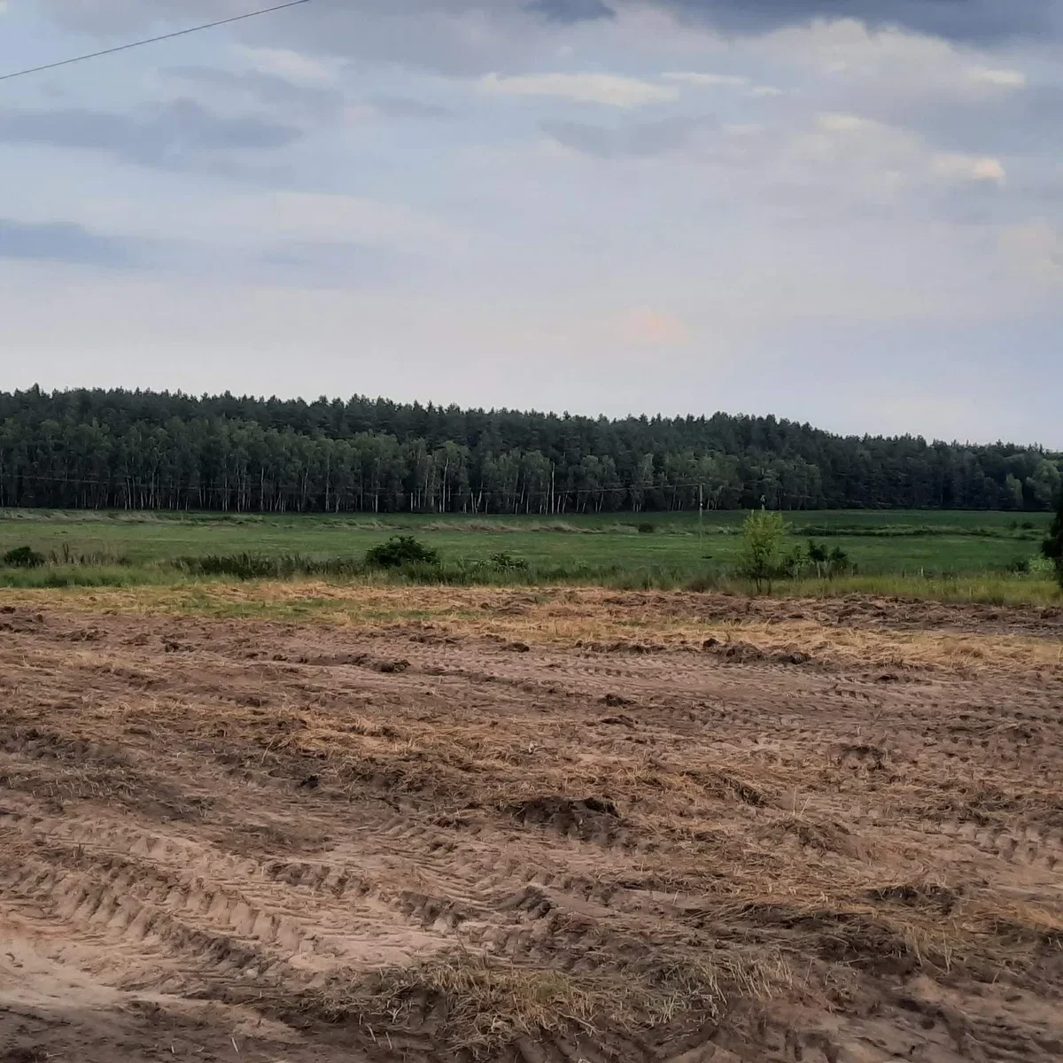 Участок 40 соток, Березань: под строительство, лес и озеро