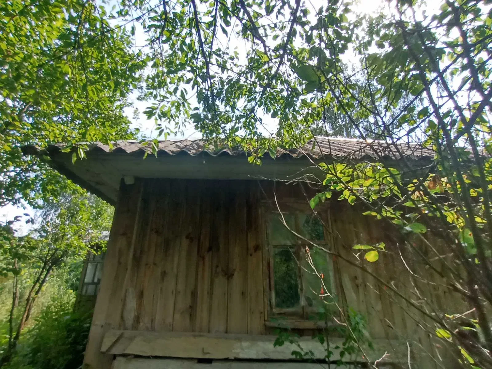 Будинок, Переволочна: глибокий погріб як укриття, сад і город - фото 3