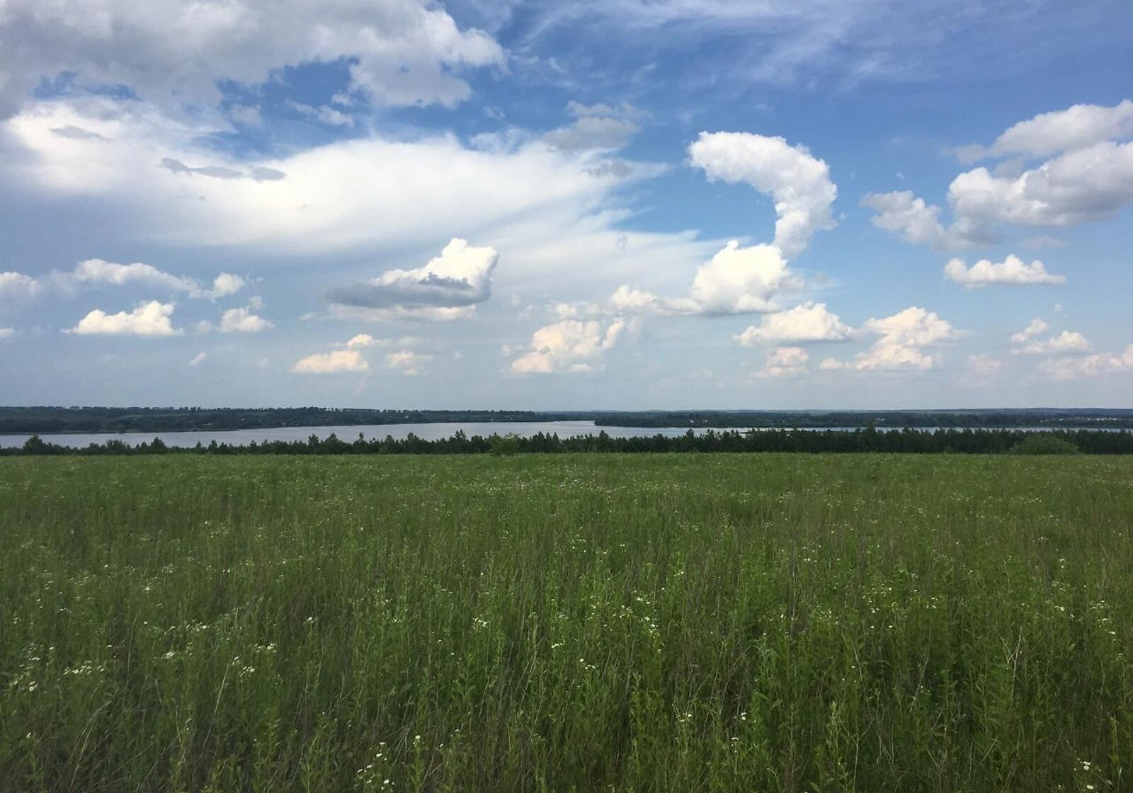 Ділянка 12 соток, Летичів: сільськогосподарська, рівнинна, фото 1