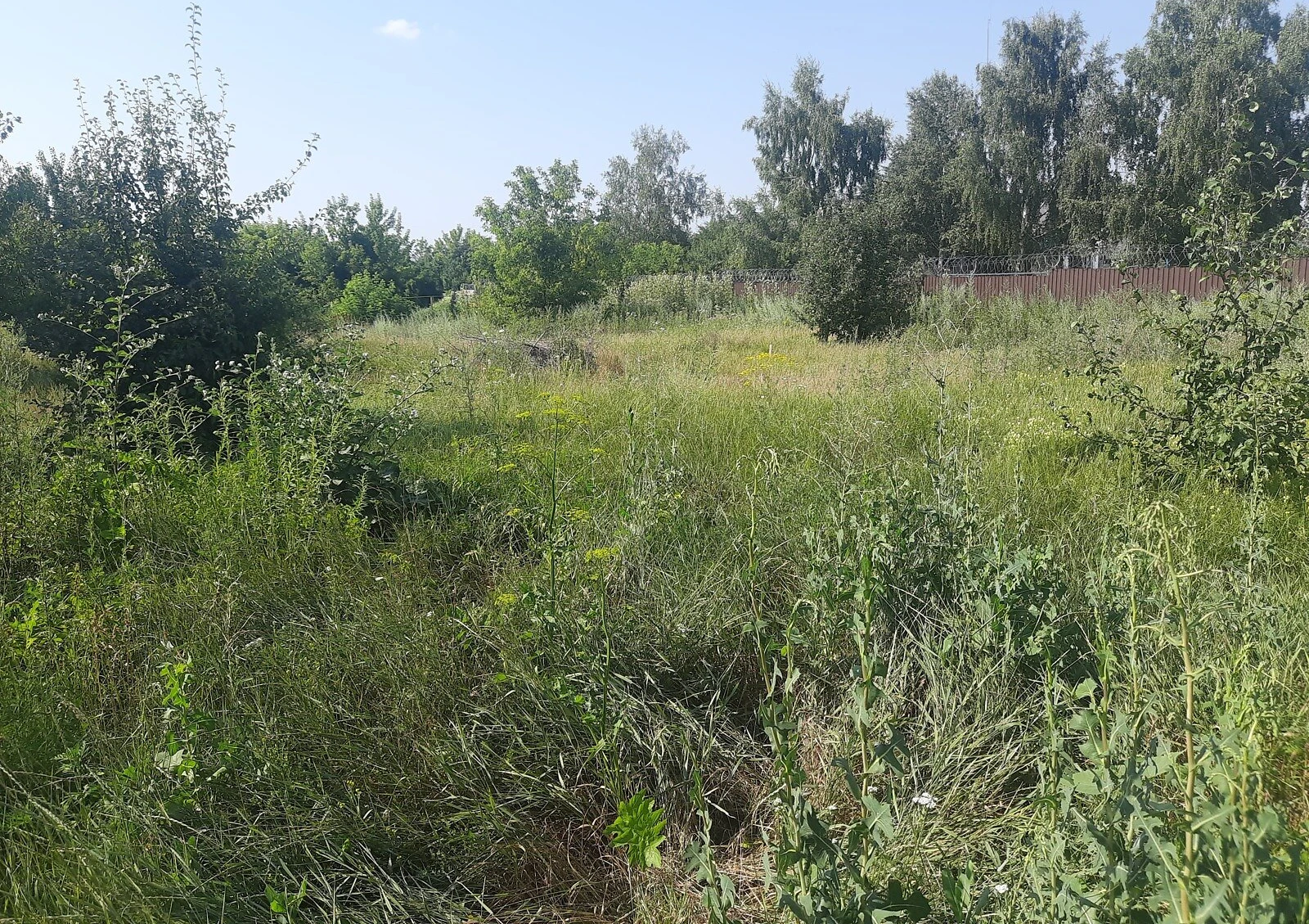 Ділянка 9.5 соток, Косівщина: під житлову забудову, 40×40 м - фото 3