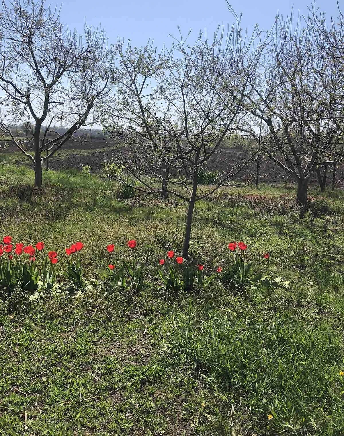 Дом, Повстин: гараж, летняя кухня - фото 4