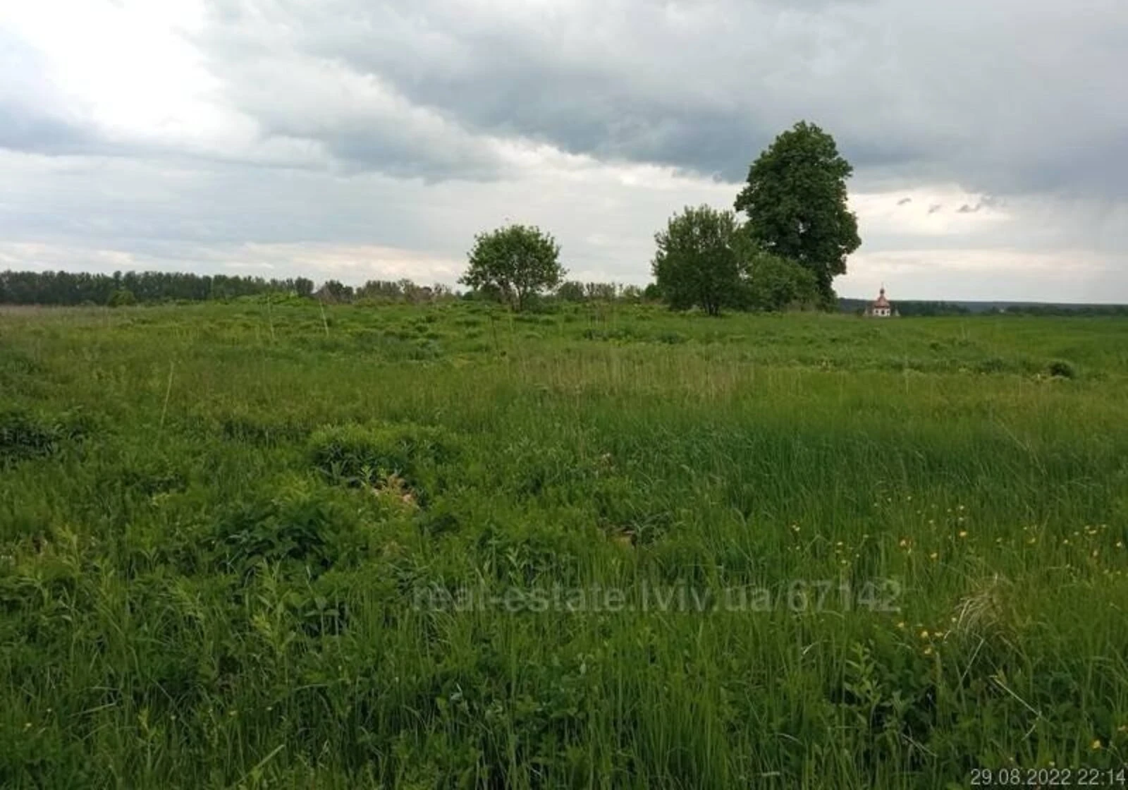 Участок 17.7 сотки, Кожичи: чернозем, электричество, под гараж, фото 5