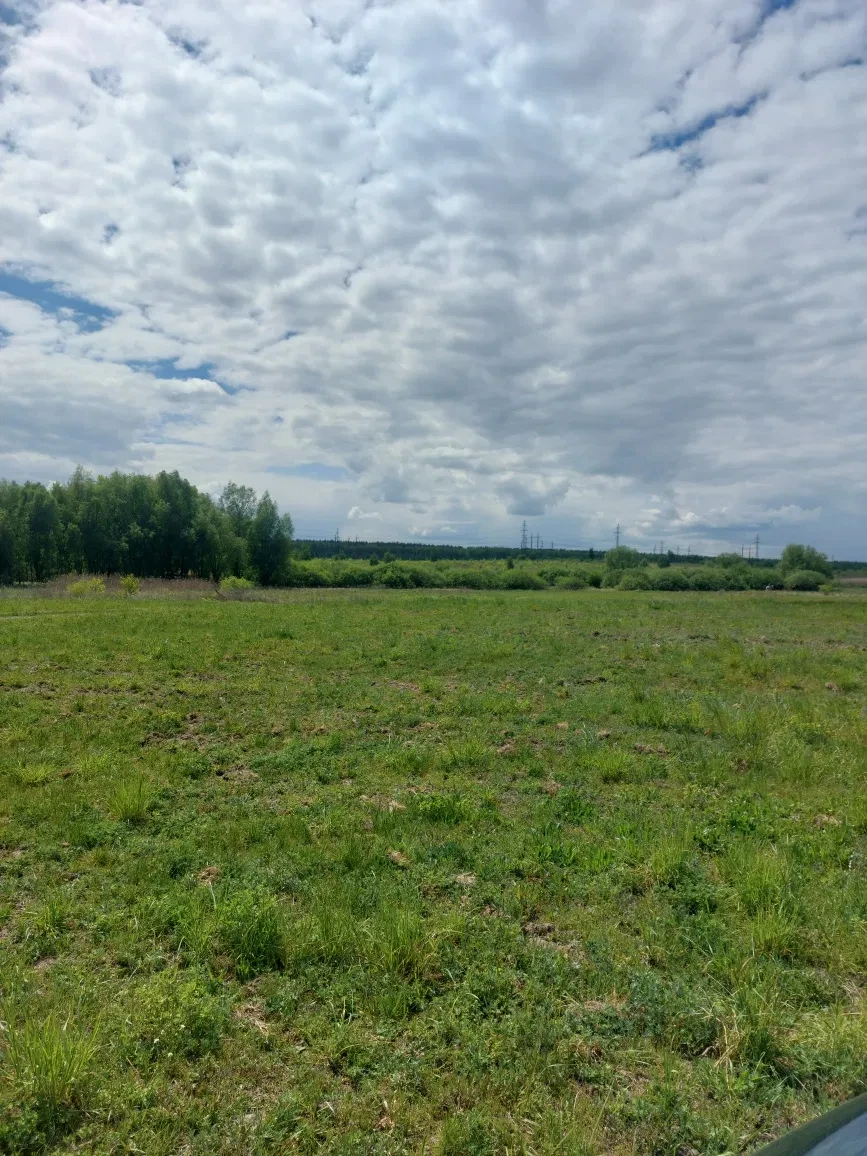 Ділянка 12 соток, Нові Петрівці: під будівництво, електрика і газ, ліс і море - фото 3