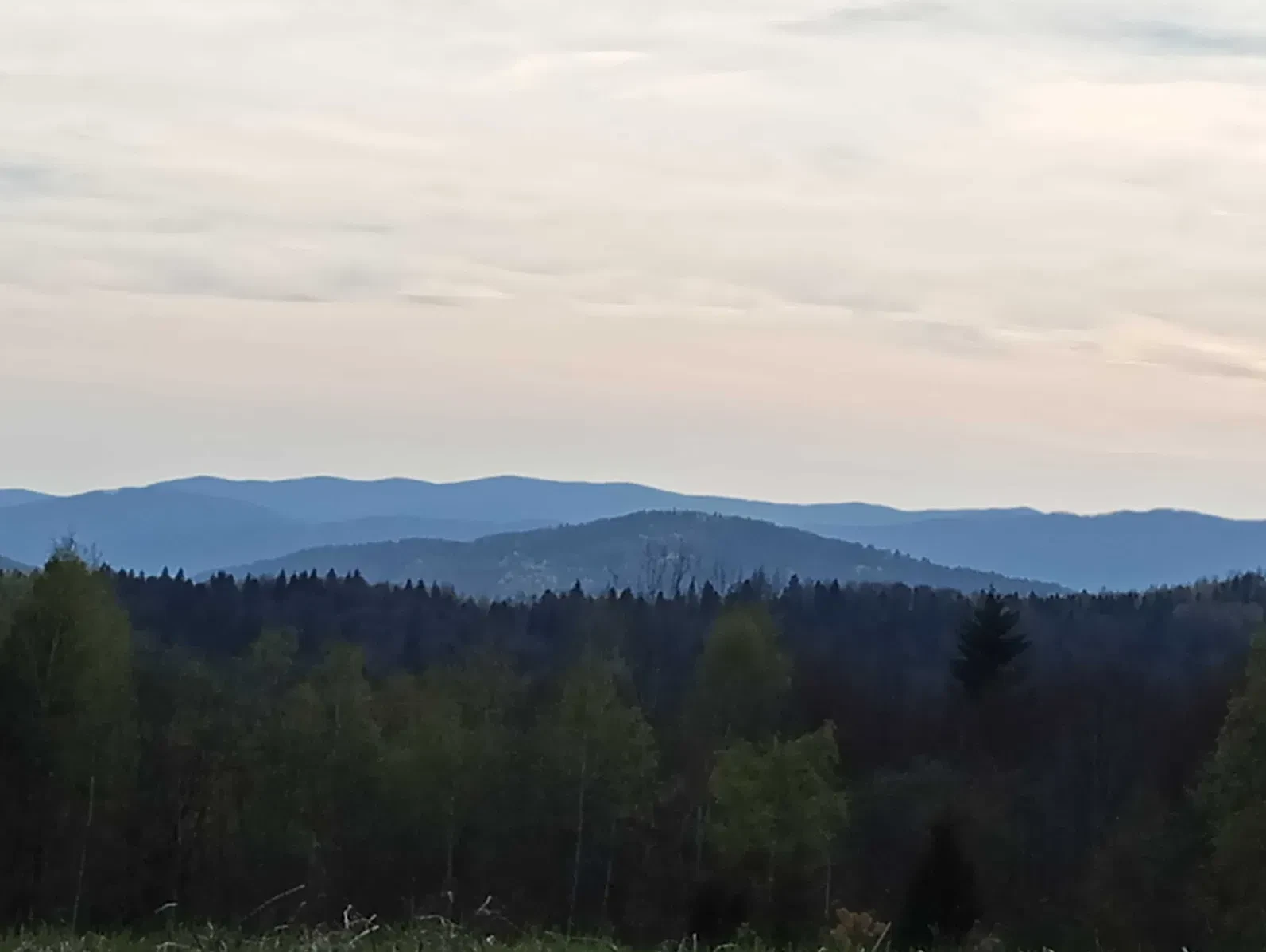 Ділянка 930 соток, Орів: ліс і річка, під бізнес-проєкти, фото 3