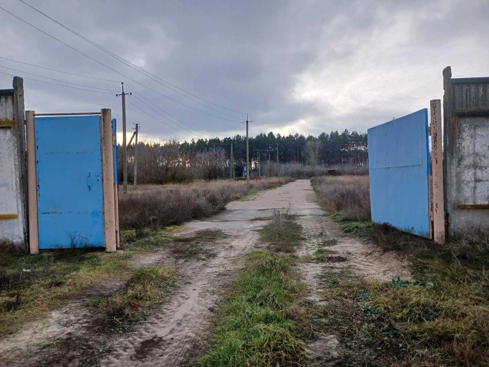 Майновий комплекс, Ладинка: 11,64 га, артезіанська свердловина, фото 1