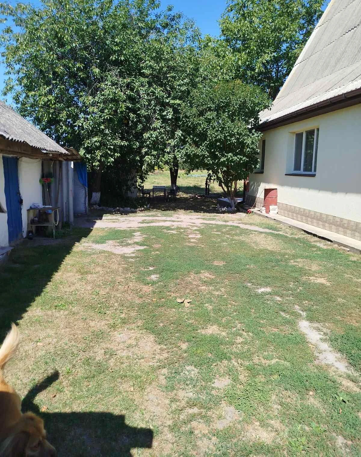 Дом, Жердова: участок 2500 м², фото 3