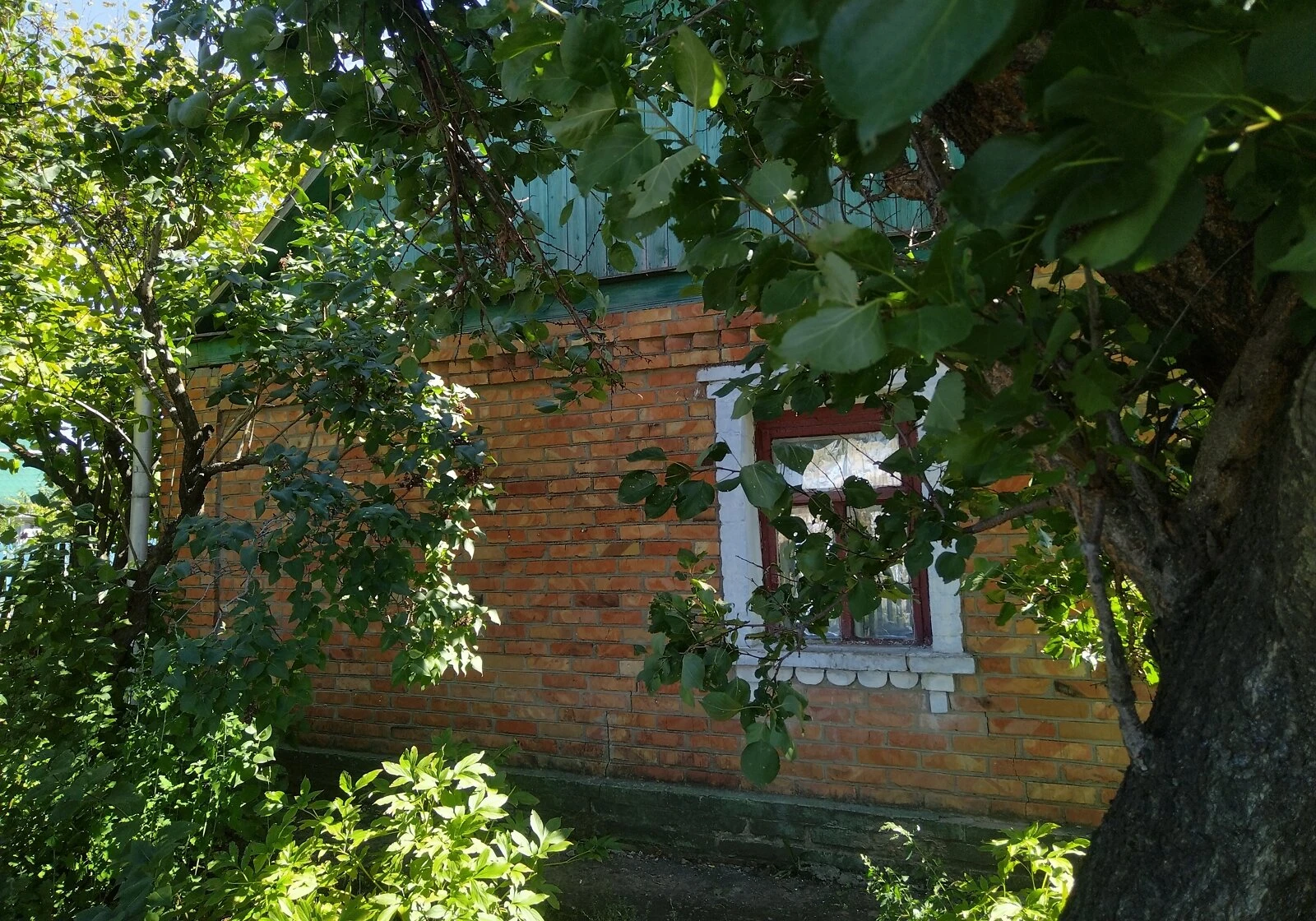 Будинок, Любашівка: 64 сотки, веранда, єВідновлення - фото 3