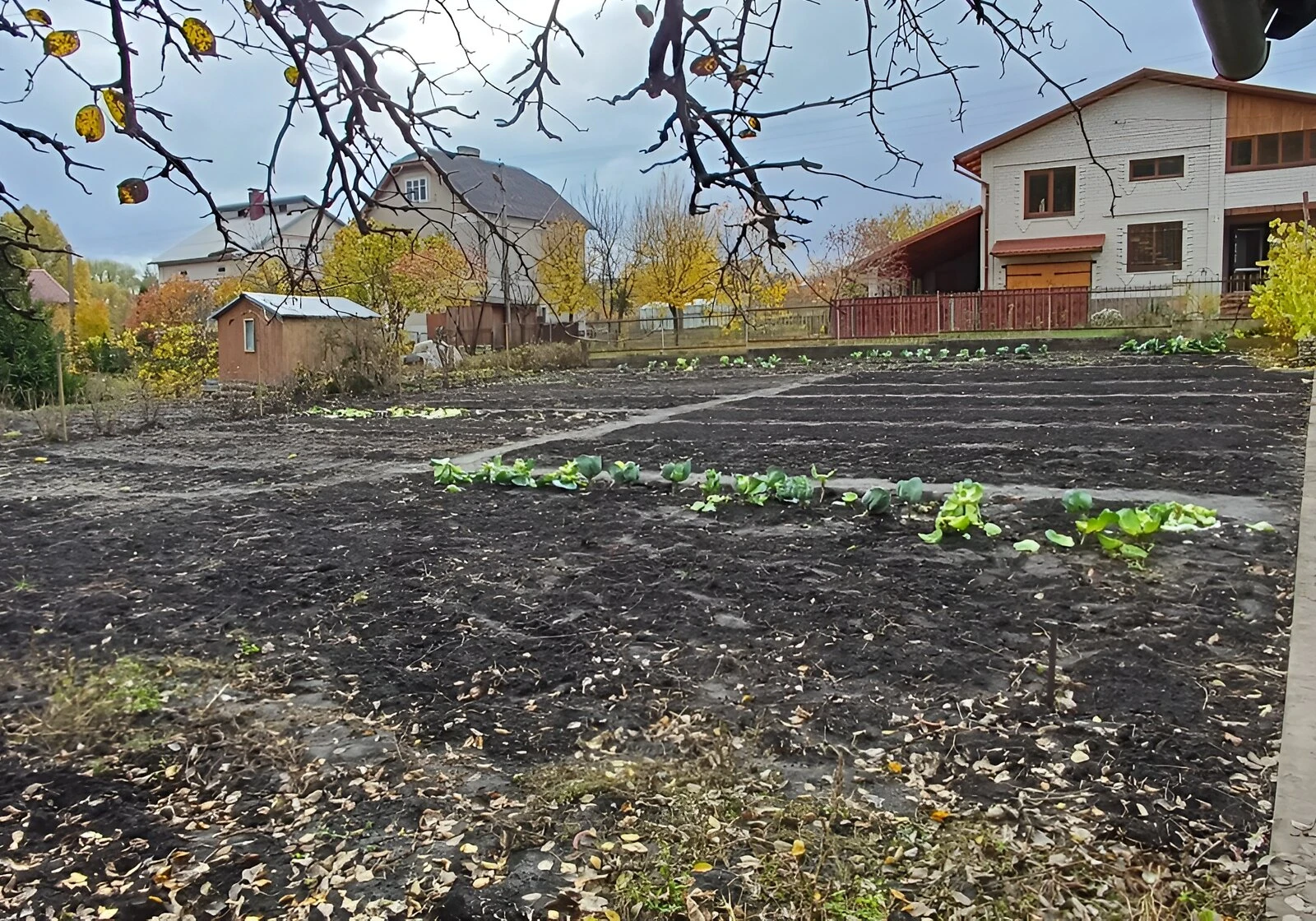 Ділянка 6 соток, Романівка: під житлову забудову, торг можливий, фото 5