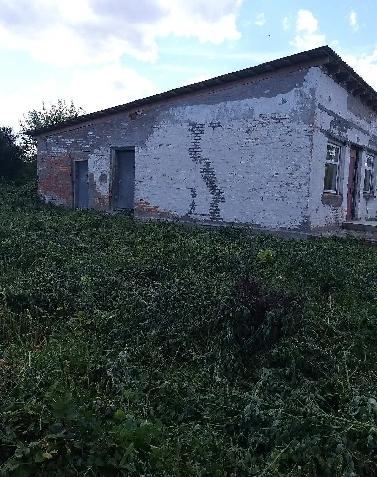 Приміщення, Нова Дмитрівка: під магазин, електрика, фото 3