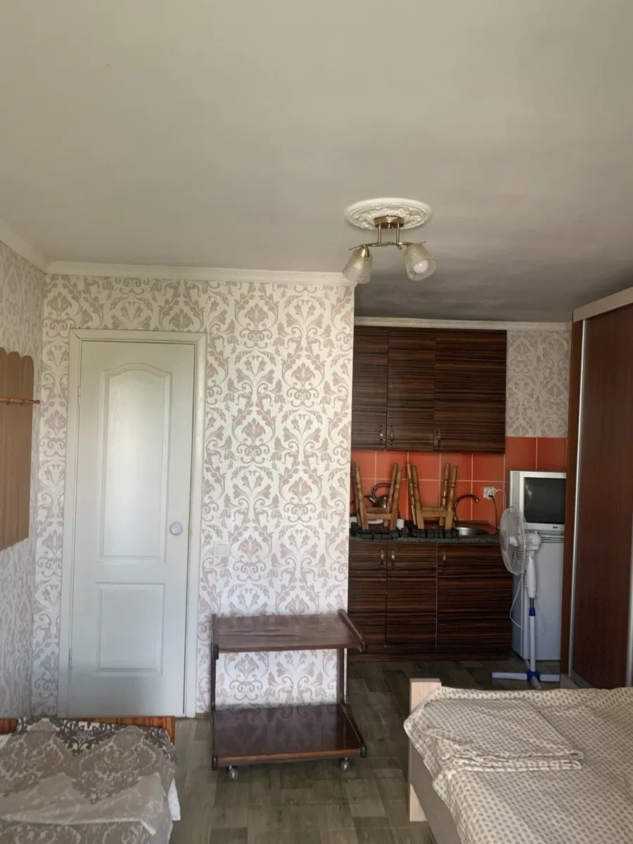 Студія, Пересипський: авторський проєкт, можна з тваринами - фото 1