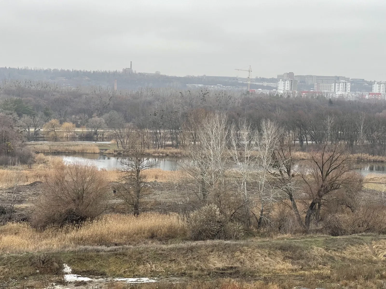 2-комнатная квартира в ЖК Пташка: авторский проект, вид на реку, фото 5