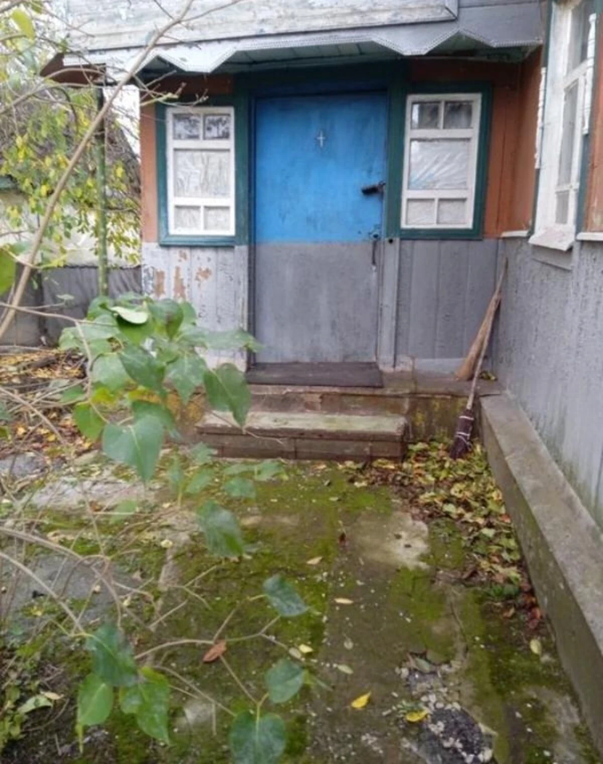 Будинок, Переяслівка: гараж із підвалом, сад, 50 соток