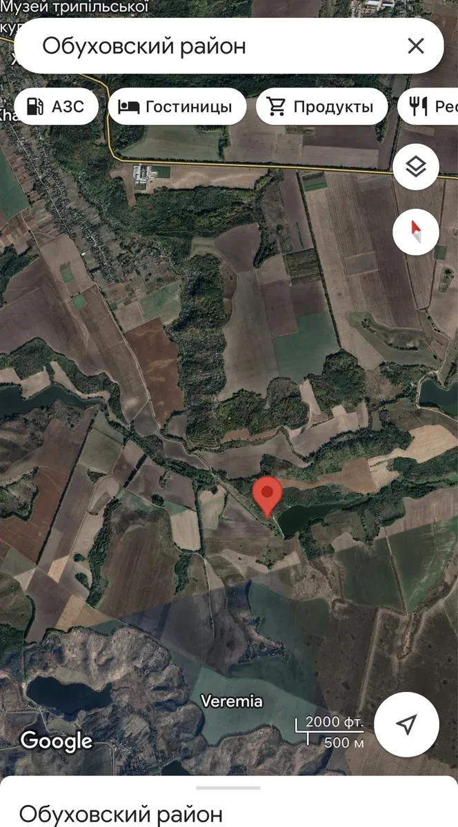 Ділянка 320 соток, Халеп'я: ОСГ, поруч річка та ліс - фото 3