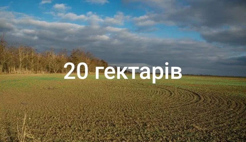 Ділянка 250 соток, Часлівці: до 5 км від Ужгорода, електрика - фото 2