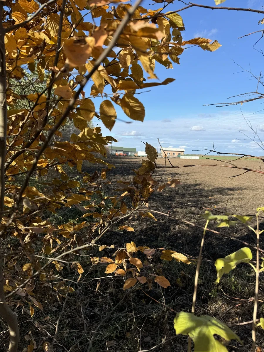 Участок 20 соток, Великая Городница: под застройку, 9 км от г. Луцк - фото 3