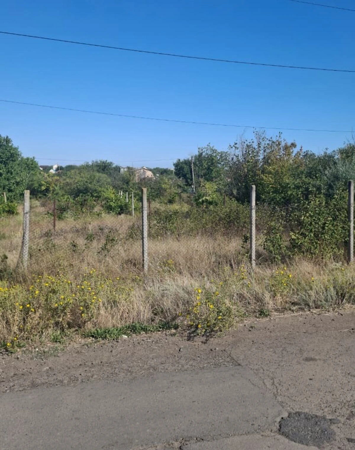 Ділянка 6 соток, Світле: під житлову забудову, торг можливий - фото 2