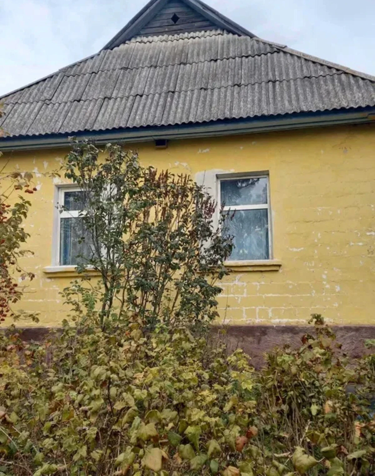 Будинок, Макишин: гараж, 35 соток, пічне опалення - фото 1
