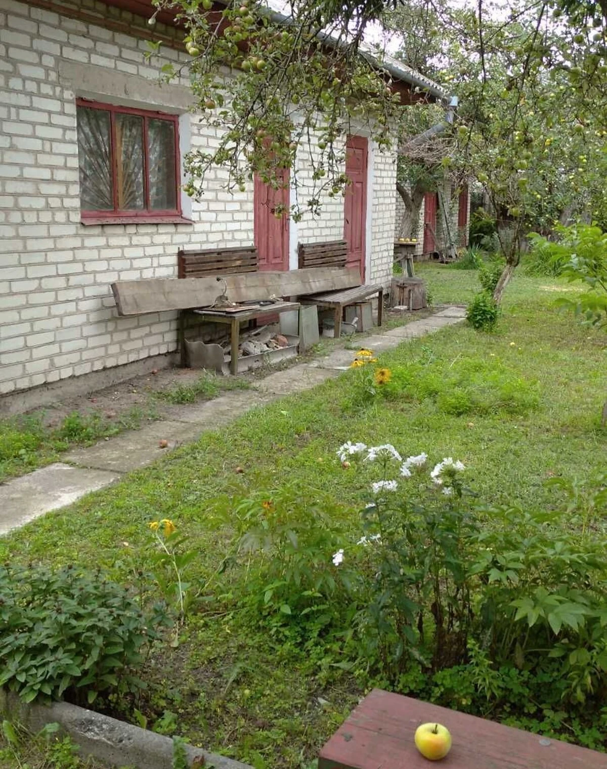Дом, Ковель: летняя кухня, кирпичные стены, фото 4