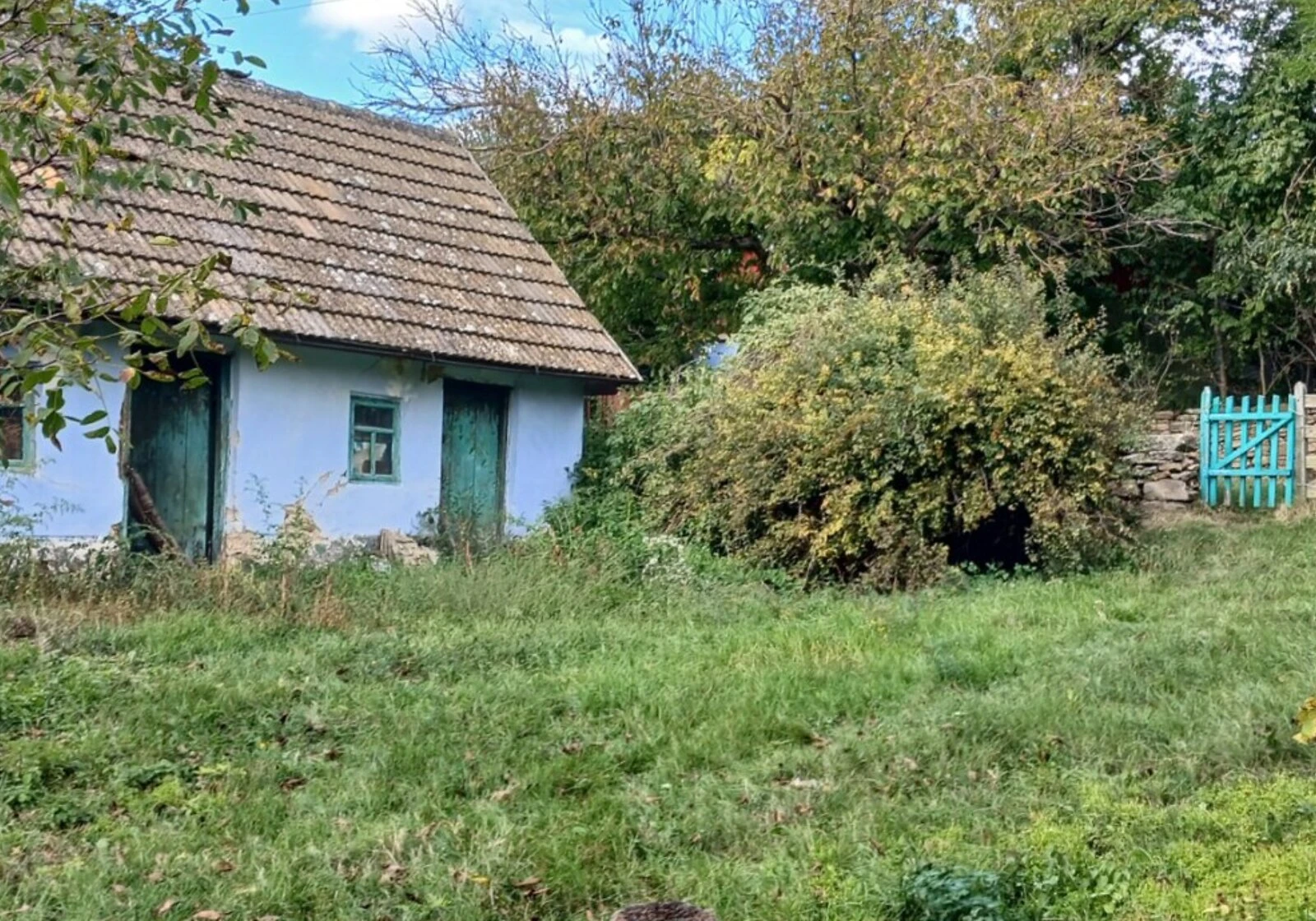 Будинок, Могилів-Подільський: літня кухня, сарай, фото 5